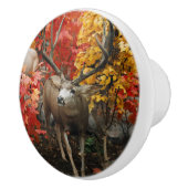 秋の白い尾 セラミックノブ (右)