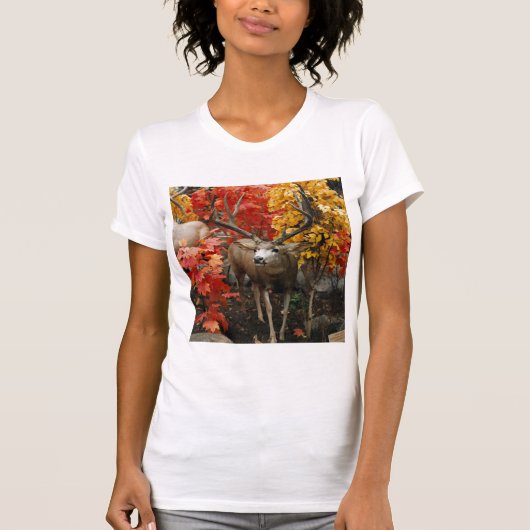 秋の白い尾 Tシャツ (正面)