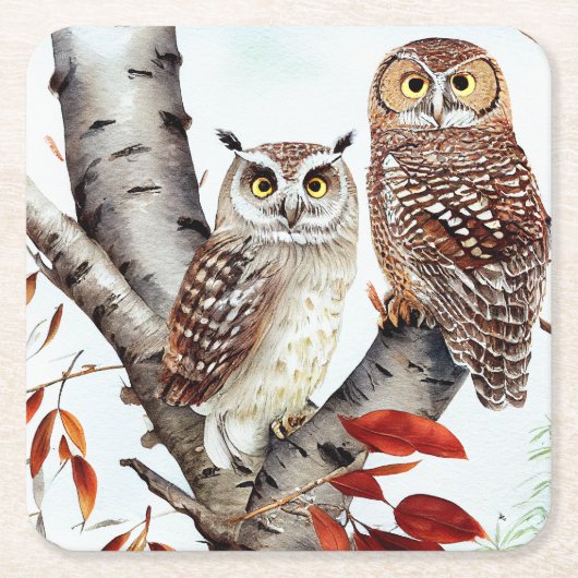 秋の白い樺の木 スクエアペーパーコースター (正面)