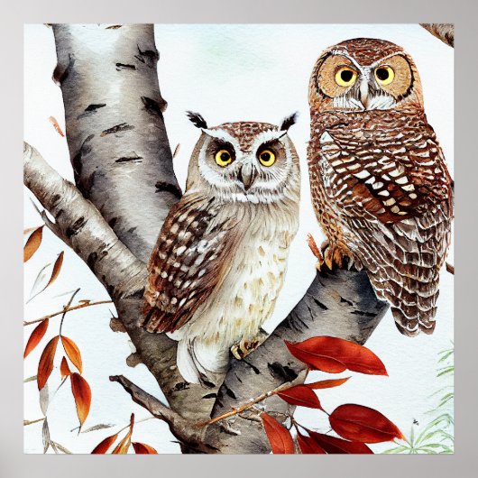 秋の白樺の木に座るフクロウ2羽 ポスター (正面)
