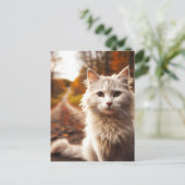 秋の白猫はがき ポストカード (スタンド正面)