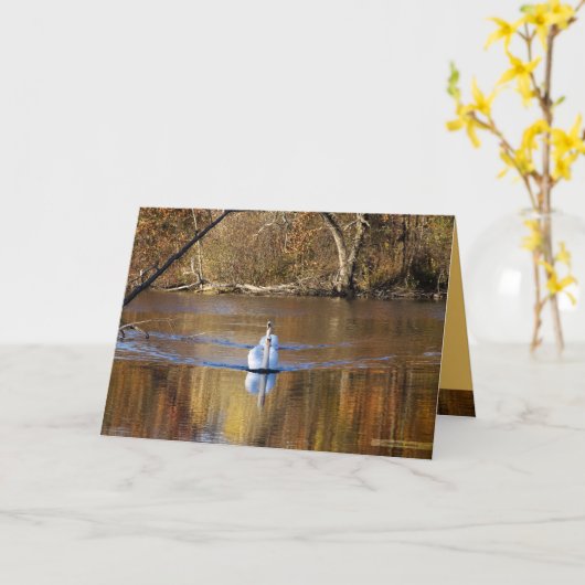 秋の白鳥 カード (黄色い花)