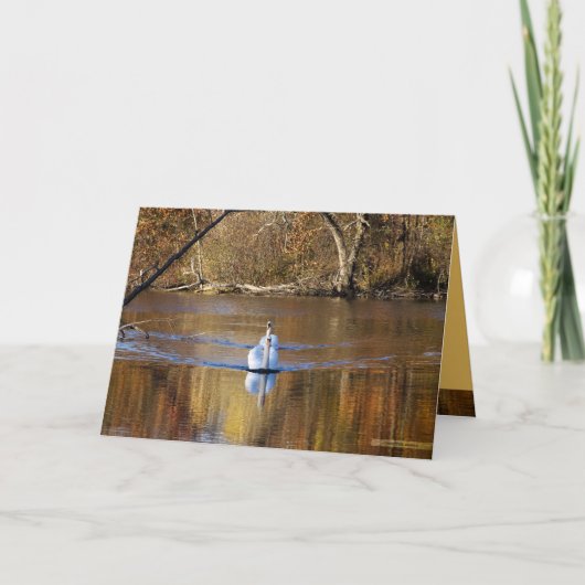 秋の白鳥 カード (正面)