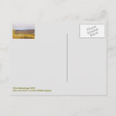 秋の眠るクマ砂丘NATIONAL PA.ポストカード ポストカード (裏面)