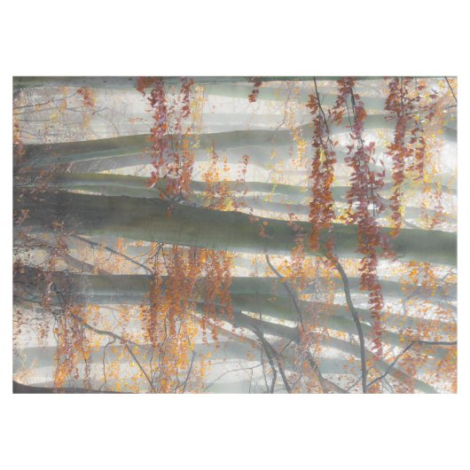 秋の神秘的で霧深い森林 テーブルクロス (正面(横))