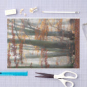 秋の神秘的で霧深い森林 薄葉紙 (クラフト)