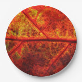 秋の秋の結婚式素朴リーフ写真クローズアップ ペーパープレート (正面)