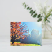 秋の秋インロングアイランドニューヨーク ポストカード (スタンド正面)