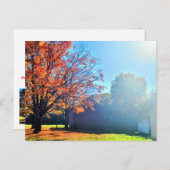 秋の秋インロングアイランドニューヨーク ポストカード (正面/裏面)