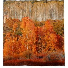 秋の秋カラー《植物》アスペンコロブジオンシャワーカーテン シャワーカーテン