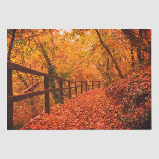 秋の秋モダンギフトラップ葉オレンジ 薄葉紙 (正面)