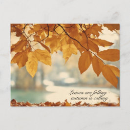 秋の秋リーフの風景 シーズンポストカード