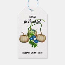 秋の秋水の色ホワイトカボチャ感謝祭