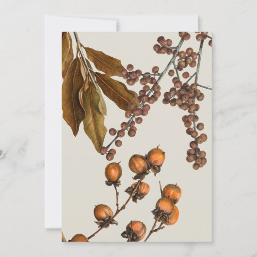 秋の秋水彩の紅葉サンクスギビング 招待状 (裏面)