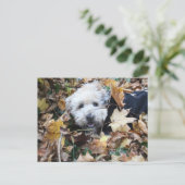 秋の秋 ポストカード (スタンド正面)