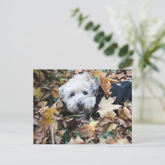 秋の秋 ポストカード (スタンド正面)