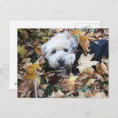 秋の秋 ポストカード (正面/裏面)