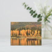 秋の穏やかな ポストカード (スタンド正面)