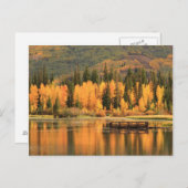 秋の穏やかな ポストカード (正面/裏面)