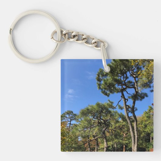 秋の空の松 キーホルダー (正面)