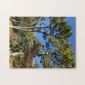 秋の空の松 ジグソーパズル (横)