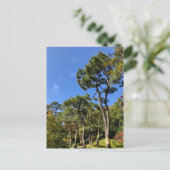 秋の空の松 ポストカード (スタンド正面)