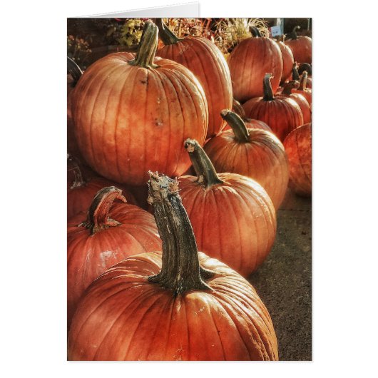 秋の空白のなカードとの愛 (正面)