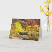 秋の空白の知恩国立公園あいさつ カード (黄色い花)