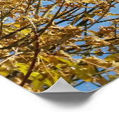 秋の空 ポスター (角)