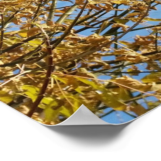 秋の空 ポスター (角)