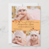 秋の突風の写真の誕生の発表 案内状 (正面)