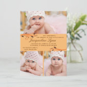 秋の突風の写真の誕生の発表 案内状 (スタンド正面)