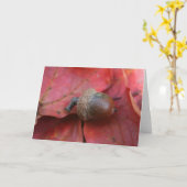 秋の約束 カード (黄色い花)