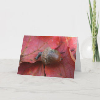 秋の約束 カード