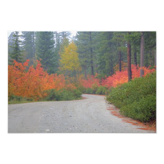 秋の紅葉が見える滝 フォトプリント            (正面)