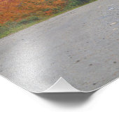 秋の紅葉が見える滝 フォトプリント            (角)