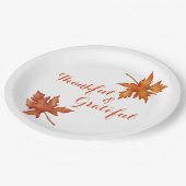 秋の紅葉が親しみやすい感謝祭 ペーパープレート (アングル)
