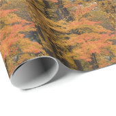 秋の紅葉と木 ラッピングペーパー (ロールコーナー)