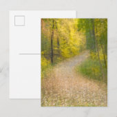 秋の紅葉と葉の入った道 ポストカード (正面/裏面)