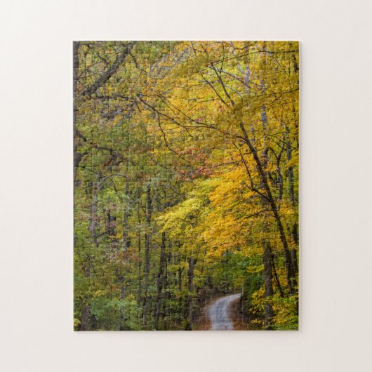 秋の紅葉に囲まれた小さな砂利道 ジグソーパズル (縦)