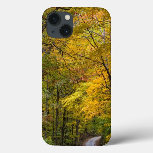 秋の紅葉に囲まれた小さな砂利道 Case-Mate iPhoneケース (裏面)