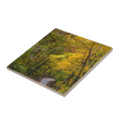 秋の紅葉に囲まれた小石の道 タイル (側面)