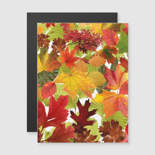 秋の紅葉磁気カード (正面/裏面)