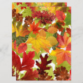 秋の紅葉 (正面/裏面)