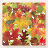 秋の紅葉 ガラスコースター (正面)
