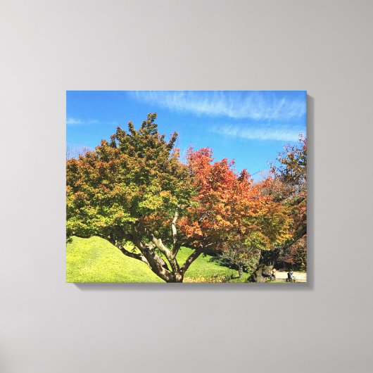 秋の紅葉 キャンバスプリント (正面)