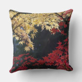 秋の紅葉 クッション (裏面)