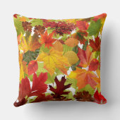 秋の紅葉 クッション (裏面)