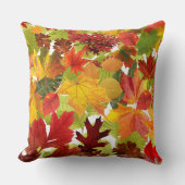 秋の紅葉 クッション (正面)