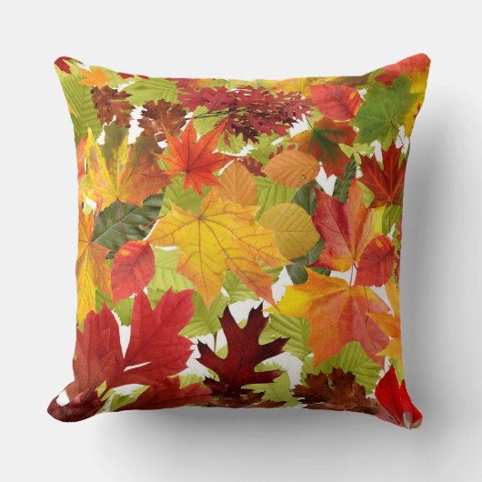 秋の紅葉 クッション (正面)
